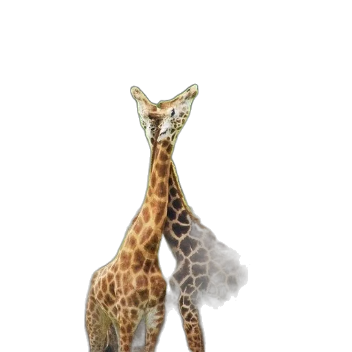 animal, creature, staff, hat, 3d render, concept art, photorealistic, fantasy art transparent PNG cut-out