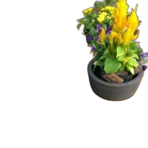 flower, crown, staff, hat, 3d render, photorealistic, earth tones, colorful transparent PNG cut-out