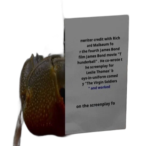 food, creature, hat, animal, 3d render, concept art, photorealistic, poster transparent PNG cut-out