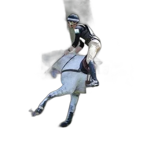 staff, animal, hat, photorealistic, concept art, 3d render, fantasy art, rider transparent PNG cut-out