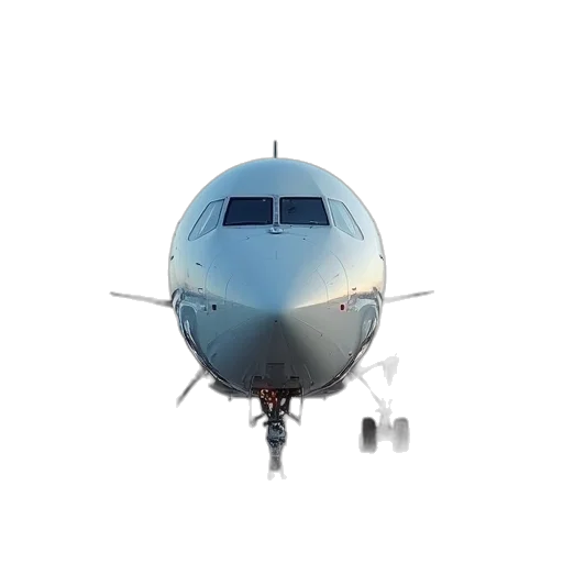 face, staff, animal, car transparent PNG cut-out
