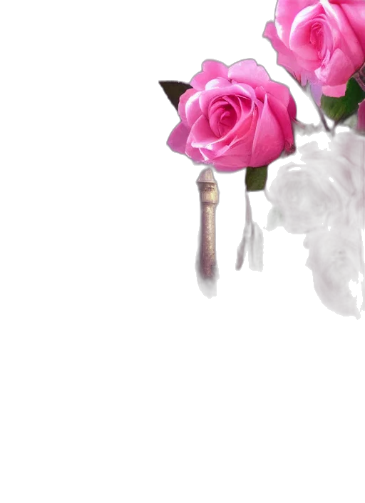 flower, jewelry, staff, crown transparent PNG cut-out