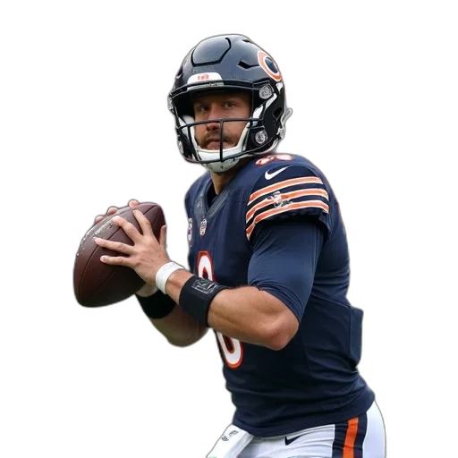 bears, quarterback, field, during transparent PNG cut-out