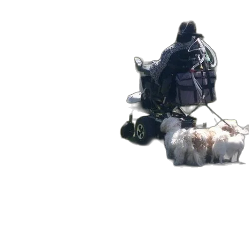 robot, weapon, jacket, bottle, 3d render, concept art, underwater, outer space transparent PNG cut-out